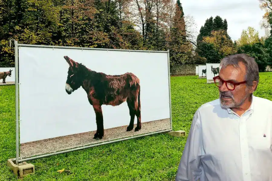 Morreu Oliviero Toscani, em Portugal em 2005 deu Fascino aos burros de Miranda