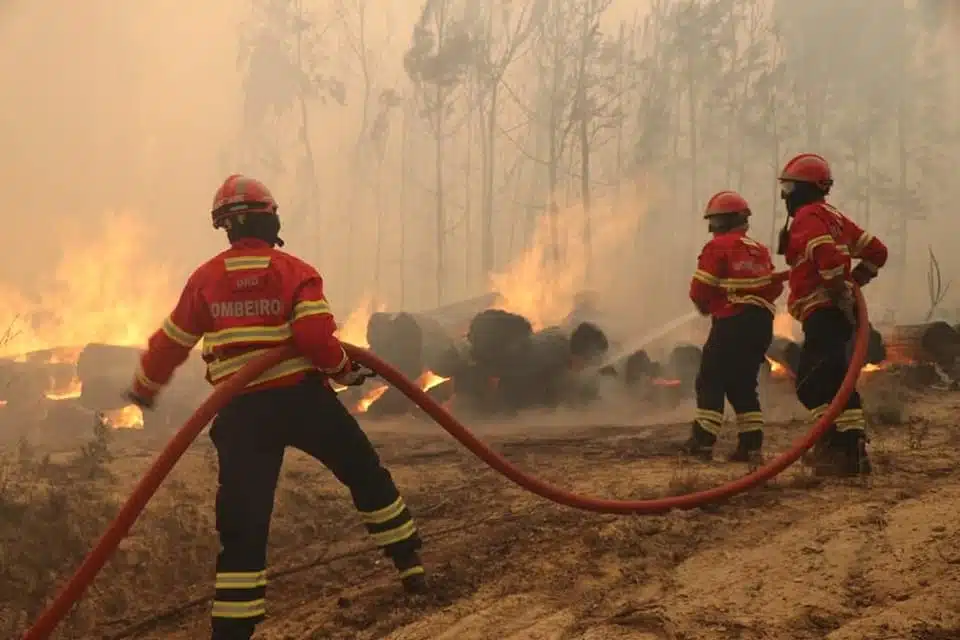 Fogo na Madeira: foram os fogos de artifício durante o festival que desencadearam o inferno