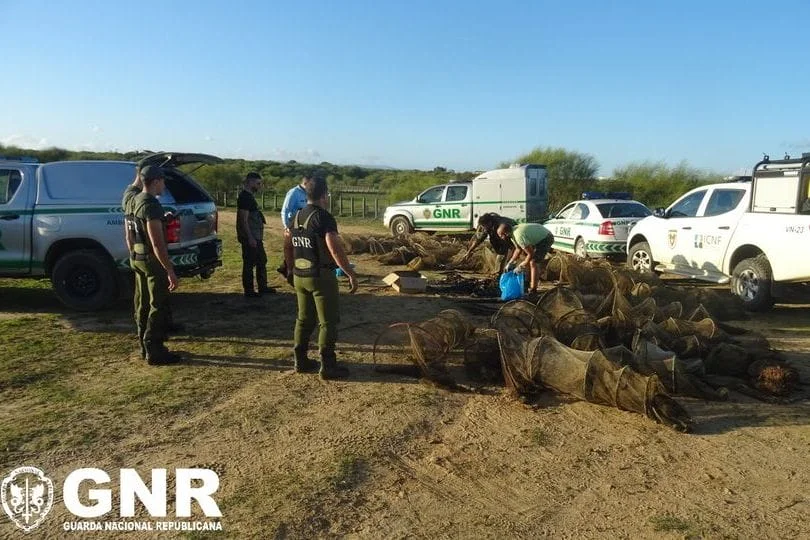Pesca ilegal no Algarve, começam apreensões da GNR