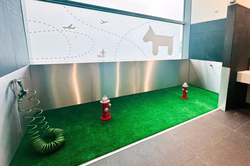 Aeroporto de Lisboa instala casas de banho para cães