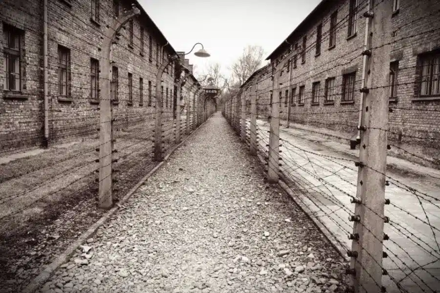 Os Portugueses e o Holocausto: Memória, Neutralidade e Lições do Passado