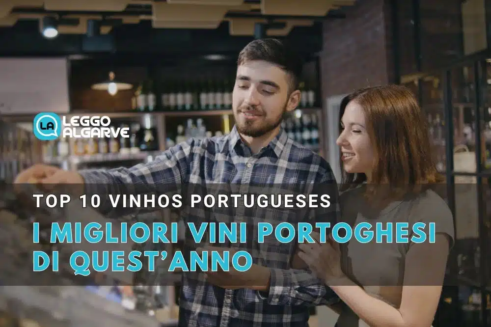 TOP 10 dos Melhores Vinhos Portugueses de 2024: uma celebração de excelência e tradição